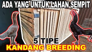 KANDANG TERNAK AYAM BANGKOK KHUSUS BREEDING [upl. by Sallee]