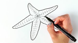 How to draw a starfish step by step [upl. by Einolem]