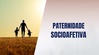 Paternidade socioafetiva [upl. by Ecinaej]