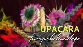 UPACARA TUMPEK LANDEP  BALI TRADITION [upl. by Manuela]