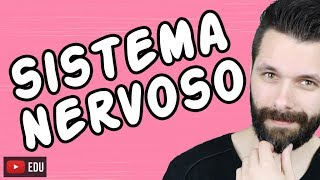 SISTEMA NERVOSO  FISIOLOGIA  Aula  Biologia com Samuel Cunha [upl. by Wesle]