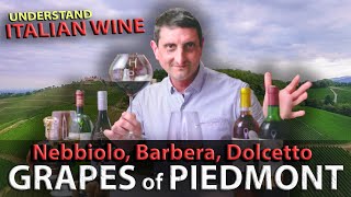 Piedmonts Wine TRILOGY Nebbiolo Barbera Dolcetto  Italian Wine 101 [upl. by Einalam]