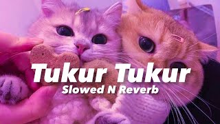 Tukur Tukur Dilwale Slowed n Reverb [upl. by Ahsinad]