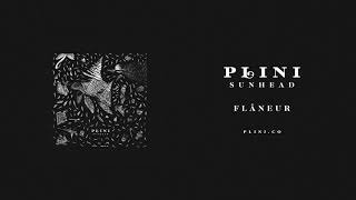 Plini – Flâneur Audio [upl. by Iaj650]