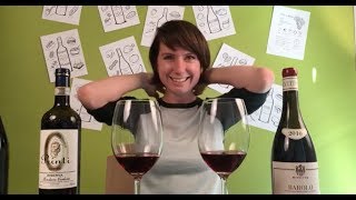 Two Nebbiolo Wines  Barolo vs Roero Riserva [upl. by Neehar]