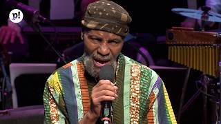 The Last Poets  Understand what black is [upl. by Graehl]