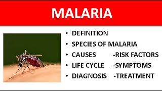 Malaria Explained Symptoms Causes Species Types Life Cycle amp Treatment [upl. by Kazmirci]