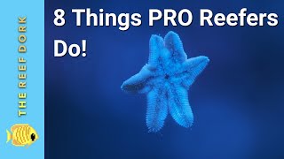 8 Things Experienced Reefers Do That Noobs Dont [upl. by Releyks631]