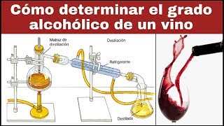 CÓMO DETERMINAR EL GRADO ALCOHÓLICO DE UN VINO [upl. by Dyche395]