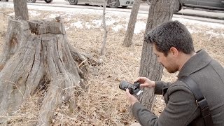 Sony A6000 HandsOn Field Test [upl. by Temp]