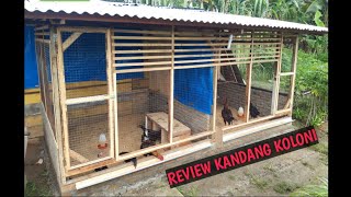 002 Review Kandang Koloni Untuk Indukan Ayam Kampung [upl. by Ozzy]