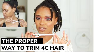 HOW TO TRIM YOUR OWN 4C HAIR Split endsTools amp Schedule Explained [upl. by Wenona]