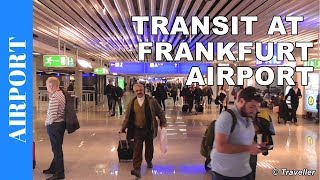 TRANSIT WALK AT FRANKFURT Airport FRA Terminal 1  Connection Flight Transfer Arriving amp Departing [upl. by Nosrak]