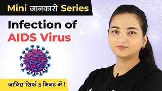 HIV and AIDS Explained in a Simple Way in Hindi  HIV Mechanism of Action  Mini Jankaari Series [upl. by Seen]